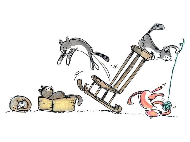 cats-6614088_640